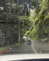 itshollynewton Altpins Profile Picture