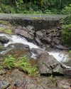 itshollynewton Altpins Profile Picture