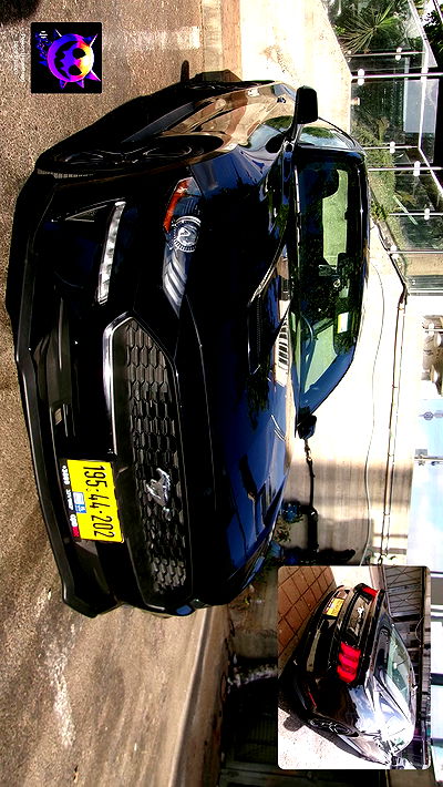 simp_for_cats_ simp_for_cats_ archive video