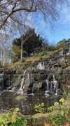 lital.oss Altpins Profile Picture