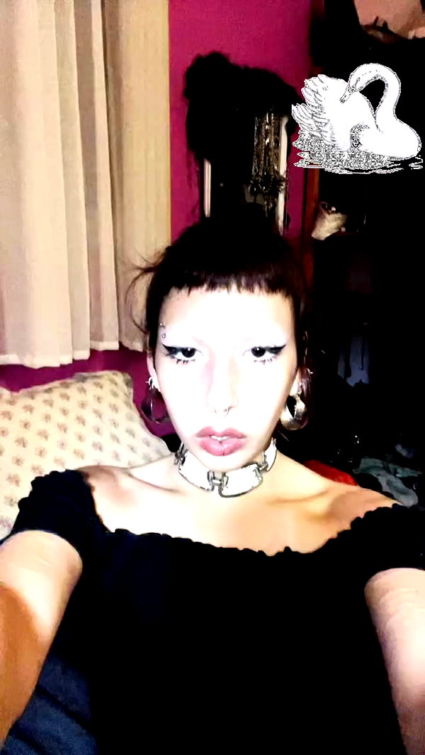 shvuty__ archive video preview