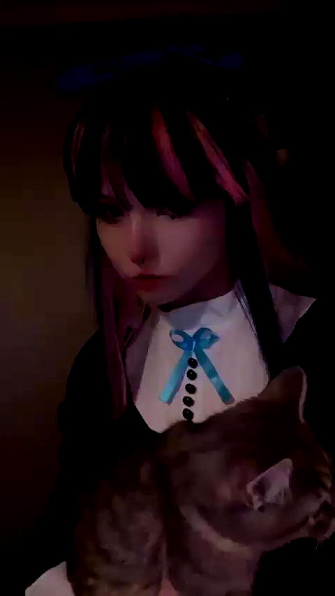 pockycatt archive video preview