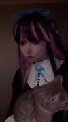 pockycatt Altpins Profile Picture