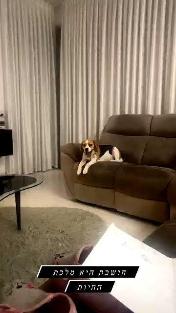 emily.otaku archive video preview