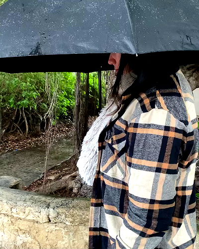 tuliprivet tuliprivet archive video