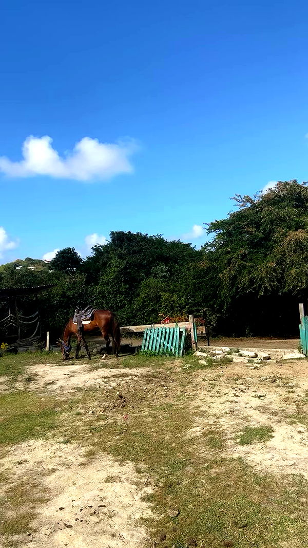 alexandramarianna archive video preview