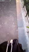 protheme Altpins Profile Picture