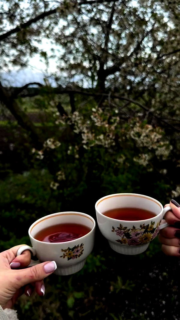 nyityam archive video preview