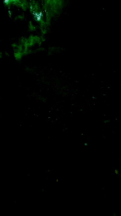 aekamee aekamee archive video