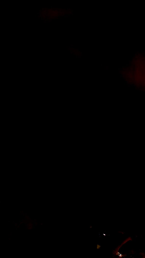 simp_for_cats_ archive video preview