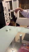 babyjoelle_ Altpins Profile Picture