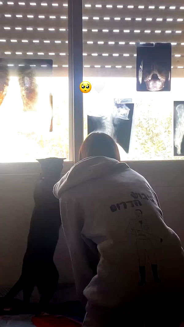 feelbetterinmysweater archive video preview