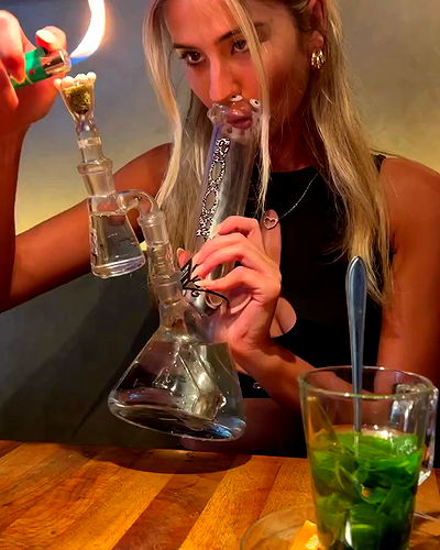 bakedsloths bakedsloths archive video