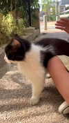 beth.sharonu Altpins Profile Picture