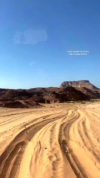 tuliish_ tuliish_ archive video