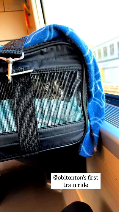 silkton silkton archive video