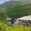 toharsandrusi Altpins Profile Picture