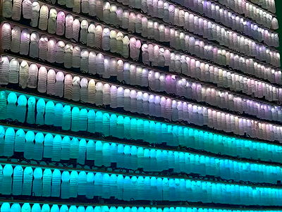 vwnrottie vwnrottie archive video