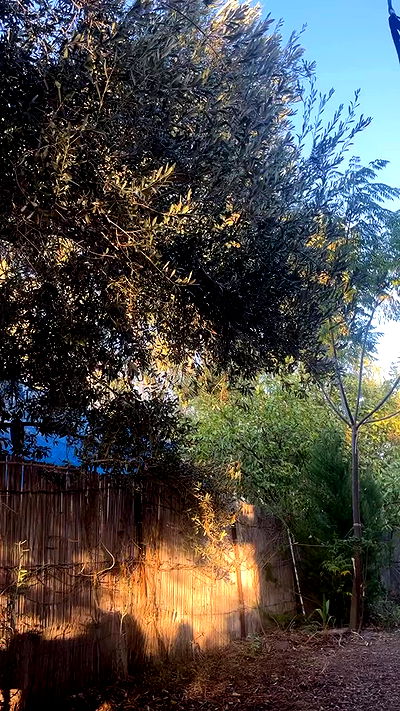 tinapavlov.sky tinapavlov.sky archive video