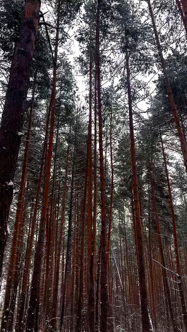 nyityam archive video preview