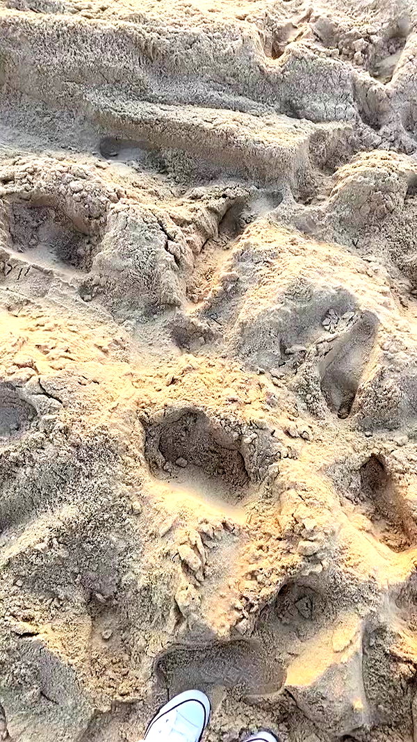 nikolll_._6 archive video preview