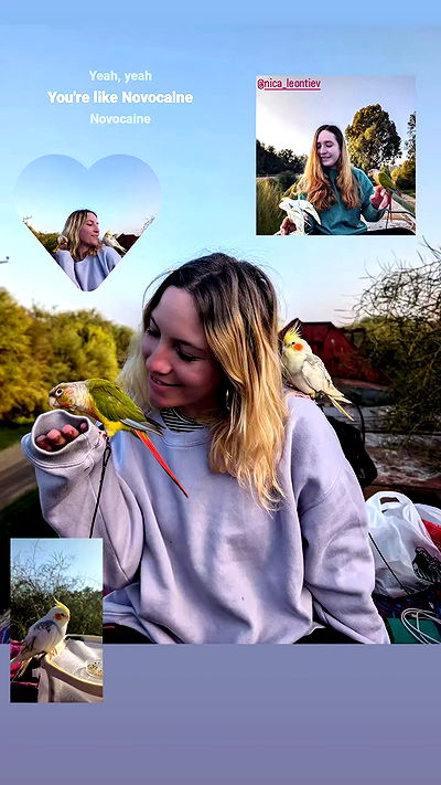 tinapavlov.sky tinapavlov.sky archive video