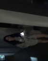 dianavgalvis Altpins Profile Picture