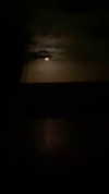 rhiannonmates Altpins Profile Picture