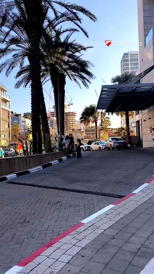 tuliish_ archive video preview