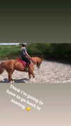elena_stain Altpins Profile Picture
