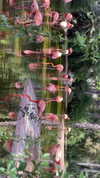 protheme Altpins Profile Picture