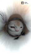 shinomayaa Altpins Profile Picture