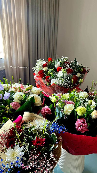 sofiagildin sofiagildin archive video