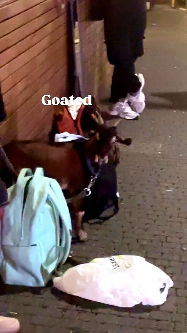 noyaislilith333 archive video preview