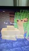 avitallllllll Altpins Profile Picture