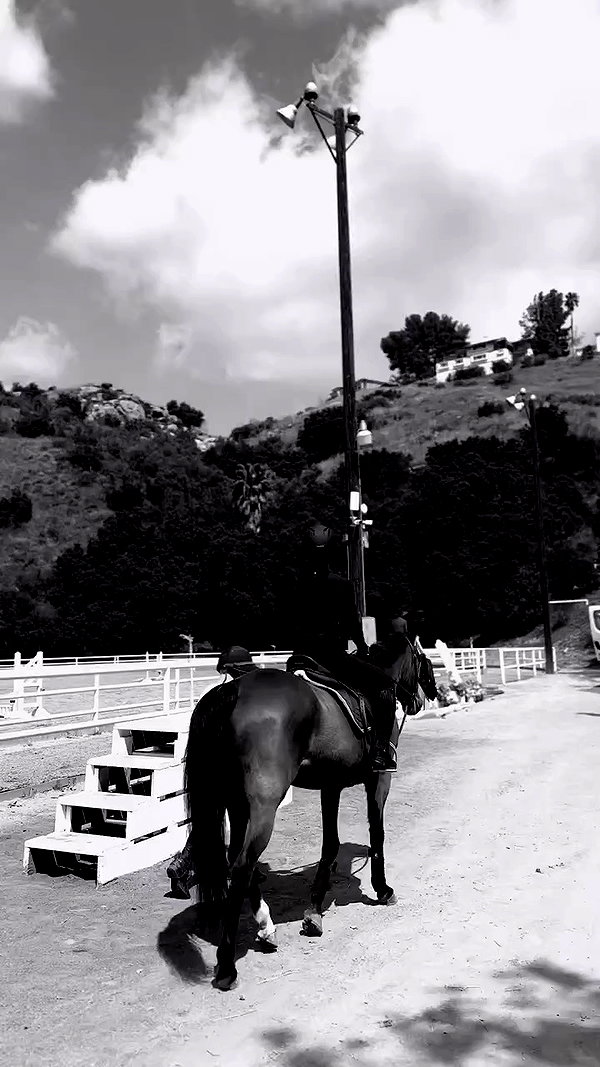 nessabarrett archive video preview