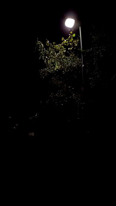 milkgore milkgore archive video