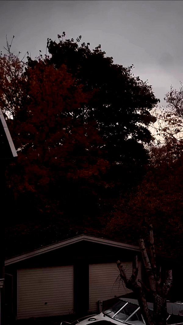 milkgore archive video preview