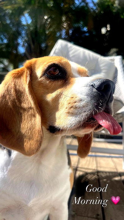 emily.otaku emily.otaku archive video