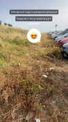 alexander._ph Altpins Profile Picture