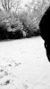 yippeeangel Altpins Profile Picture