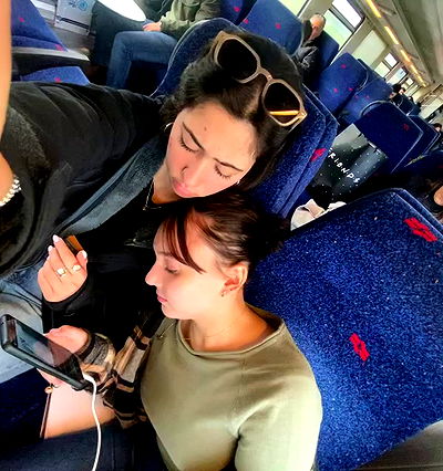 tuliprivet tuliprivet archive video