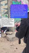 alexander._ph Altpins Profile Picture