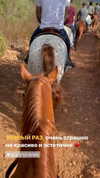 alexander._ph Altpins Profile Picture