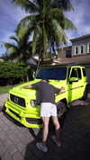 owenllynch Altpins Profile Picture