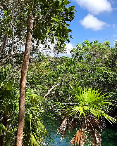 rachelc00k rachelc00k archive video