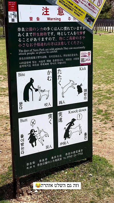 itsilanosh itsilanosh archive video