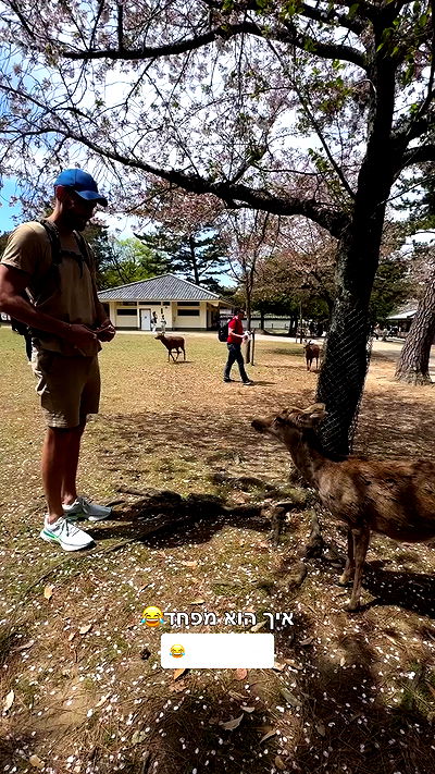 itsilanosh itsilanosh archive video