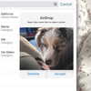 daniela.pritika Altpins Profile Picture