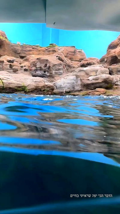 itsilanosh itsilanosh archive video